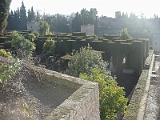 Maze Garden At El Generalife